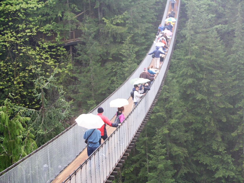 Capilano Suspension Bridge Park(ｷｬﾋﾟﾗﾉ吊り橋)
